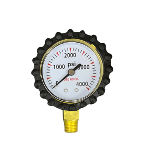 Reloj de alta nitrógeno